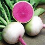 Ред Мит_0x160 Наш сад